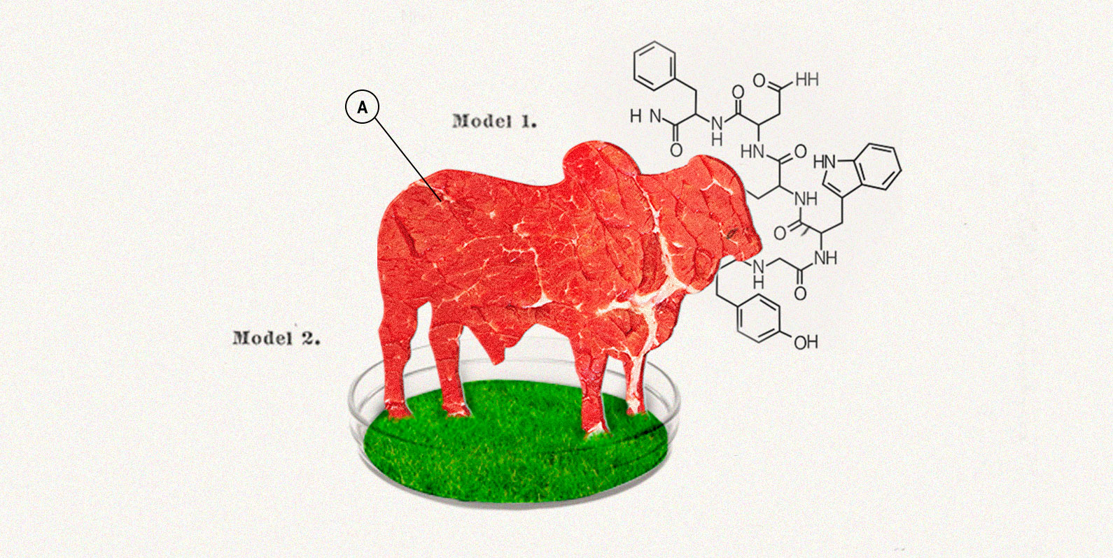 Carne de laboratório e o futuro da indústria de alimentos