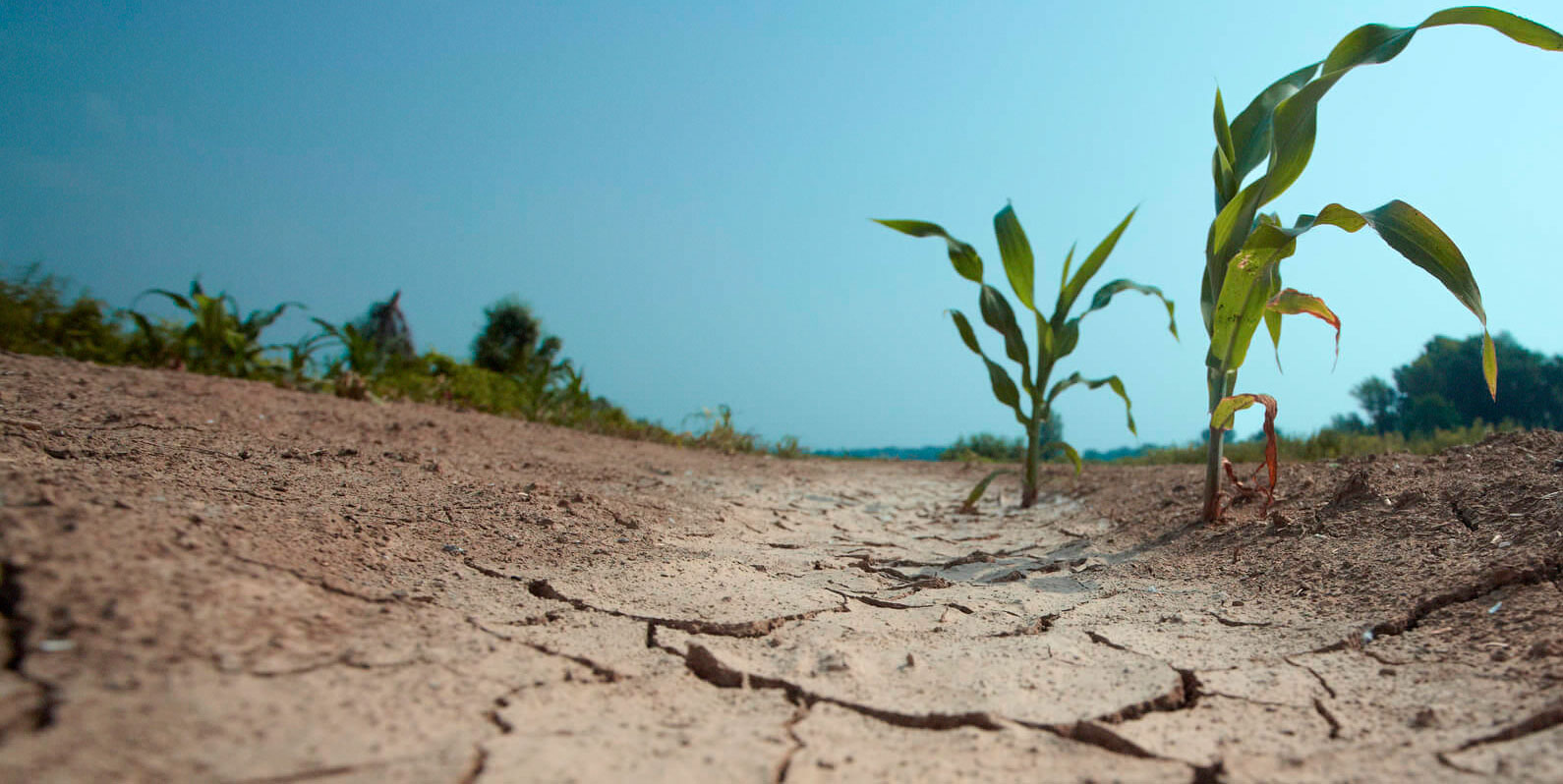 O que as secas que afetam a Califórnia representam para a energia limpa