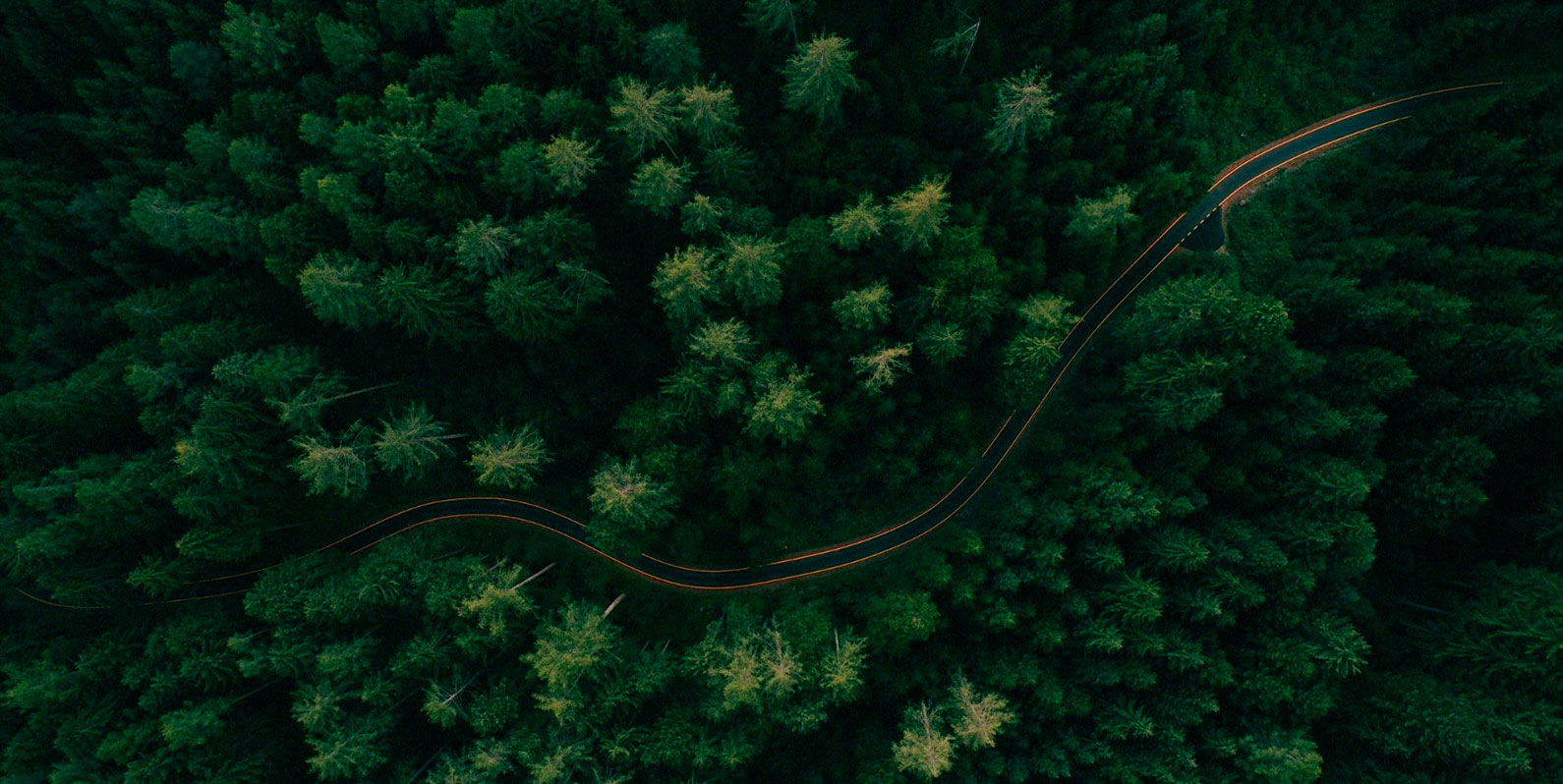 Em busca do Futuro Verde