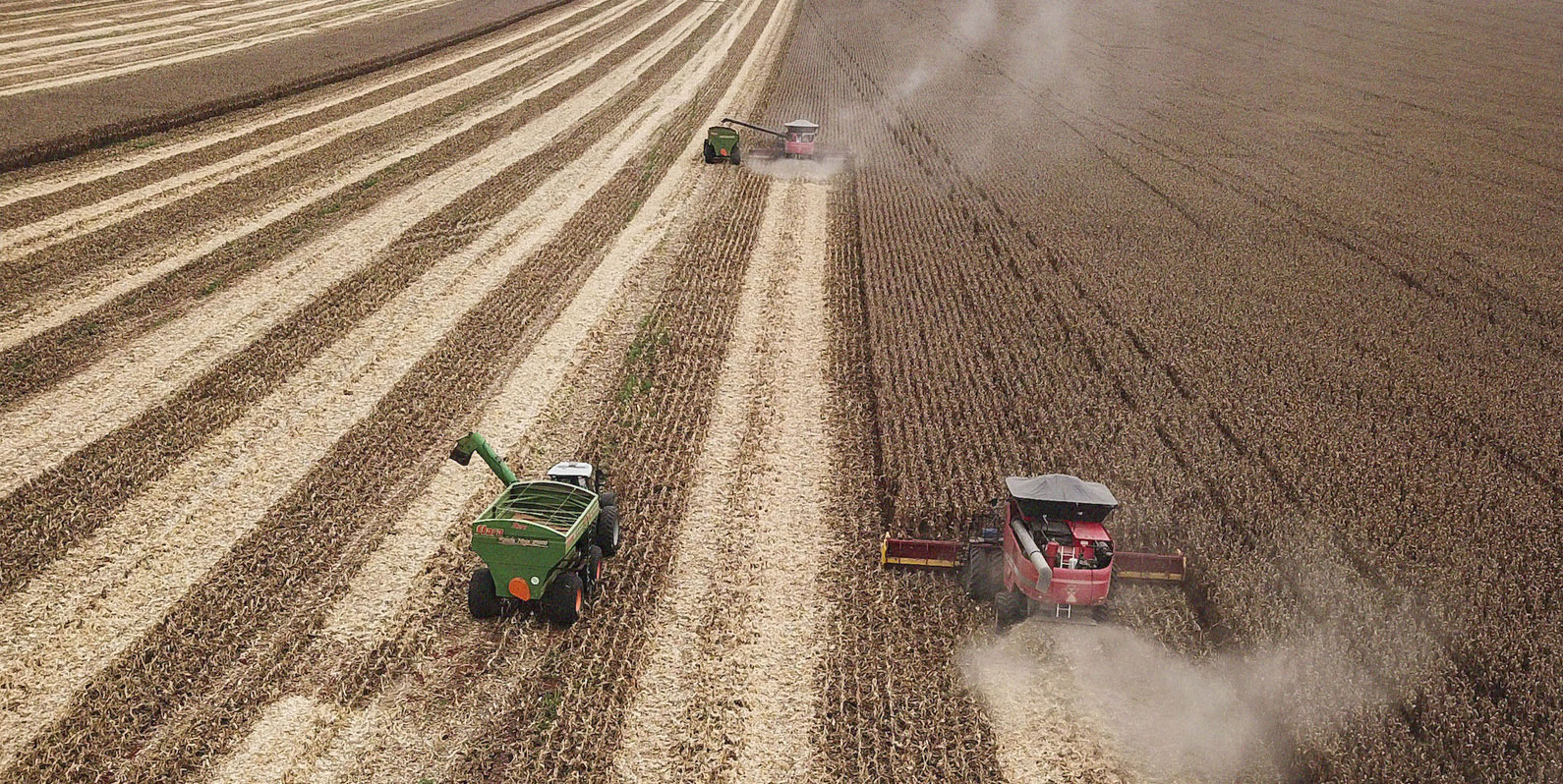 A Revolução digital no agronegócio impulsiona a economia brasileira